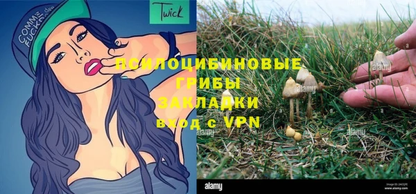 PSILOCYBIN Новокубанск