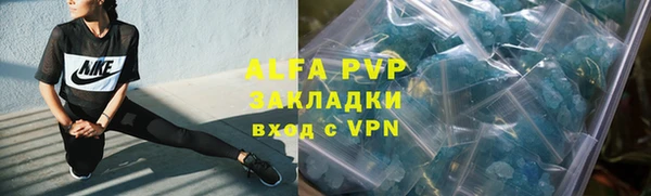 гашик Сатка