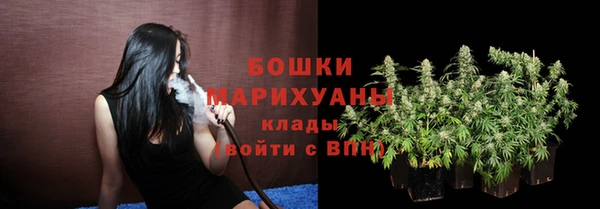 стафф Новозыбков