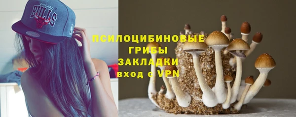 стафф Новозыбков