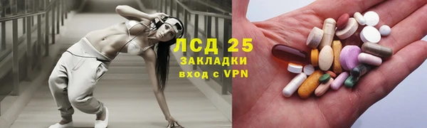 стафф Новозыбков