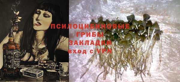 стафф Новозыбков