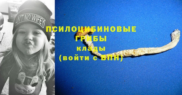 стафф Новозыбков