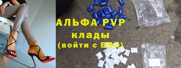 стафф Новозыбков