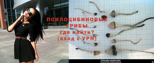 МДПВ Нефтегорск